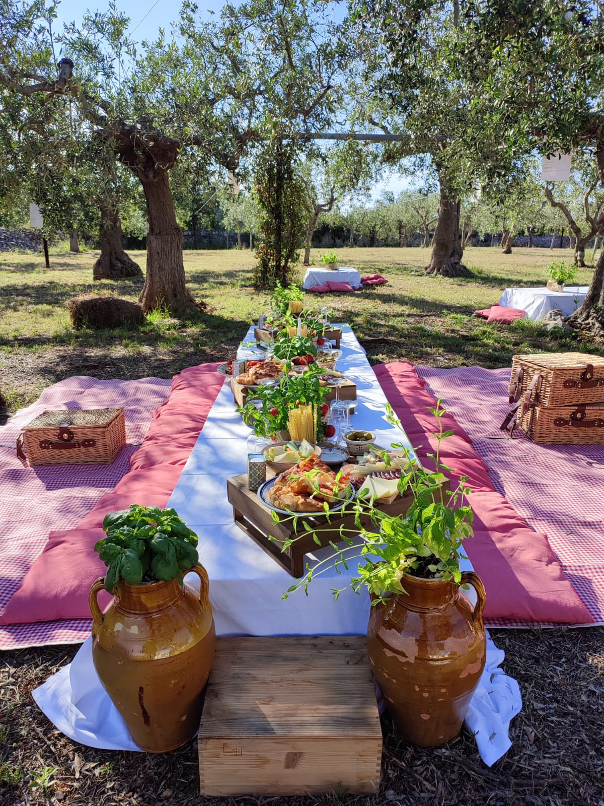 Pic-nic pugliese