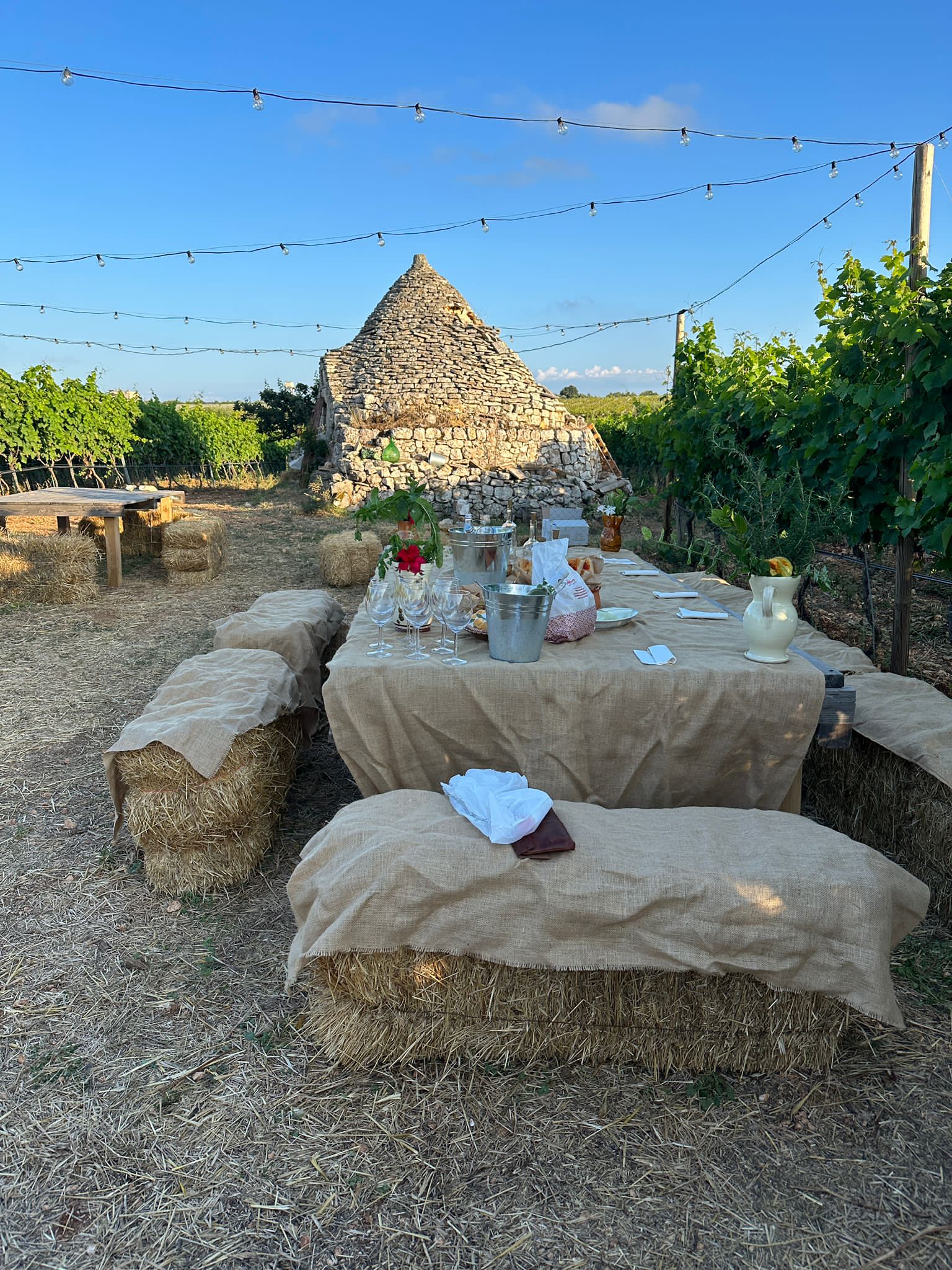 Degustazione di Vino
