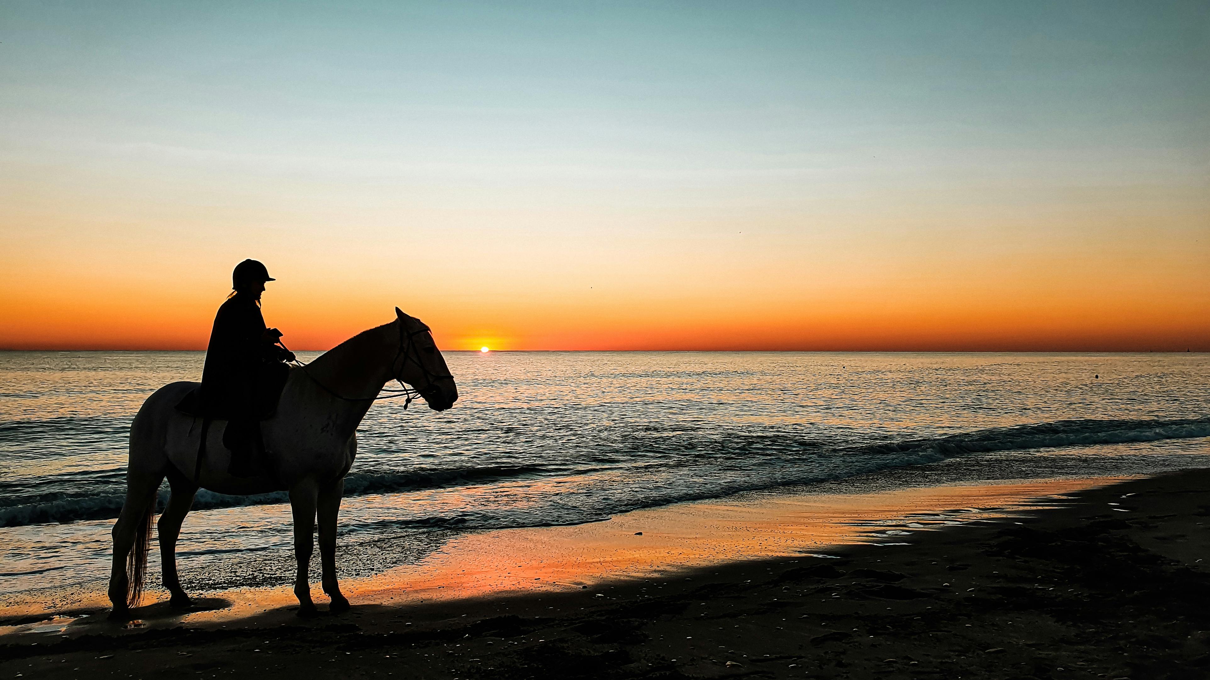 Passeggiata a cavallo